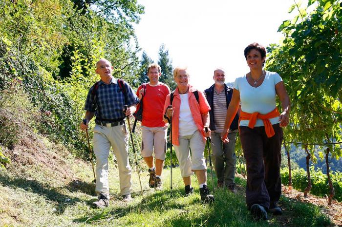 Geführte Weinbergwanderung am Schloss Eberstein in Gernsbach