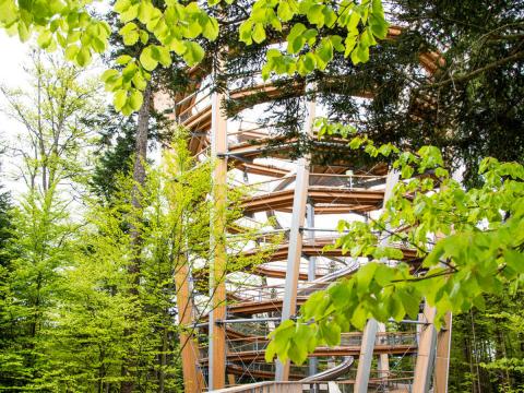 Baumwipfelpfad Bad Wildbad