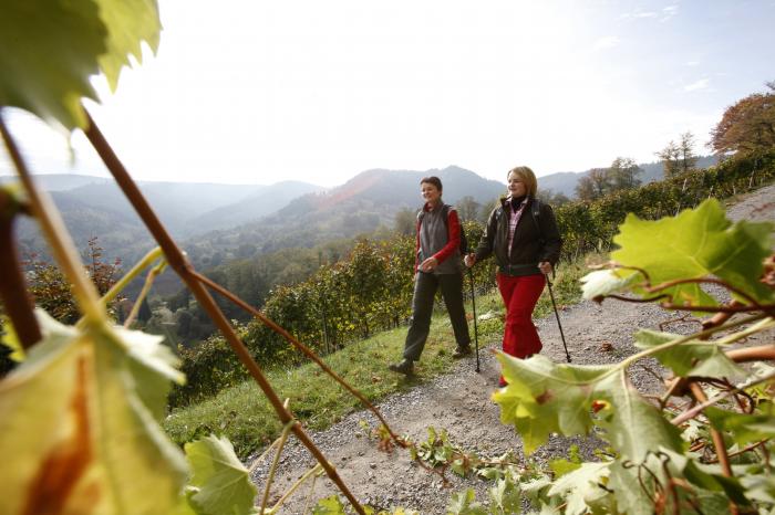 Wanderinnen auf dem Ortenauer Weinpfad am Schloss Eberstein in Gernsbach