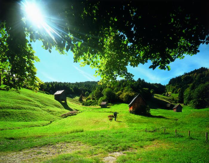 Heuhüttental im Murgtal