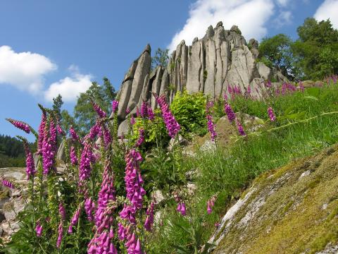 Aussichtsfelsen &  Türme