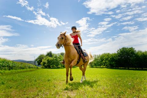 Reiten in Gaggenau Moosbronn